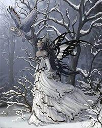 四爷为我去宫斗